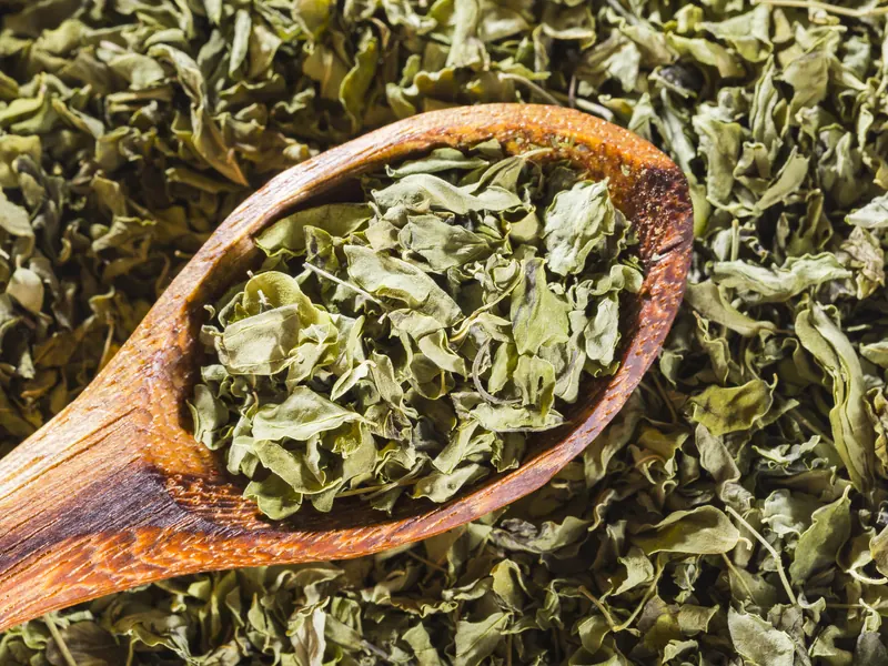 Green tea leaves